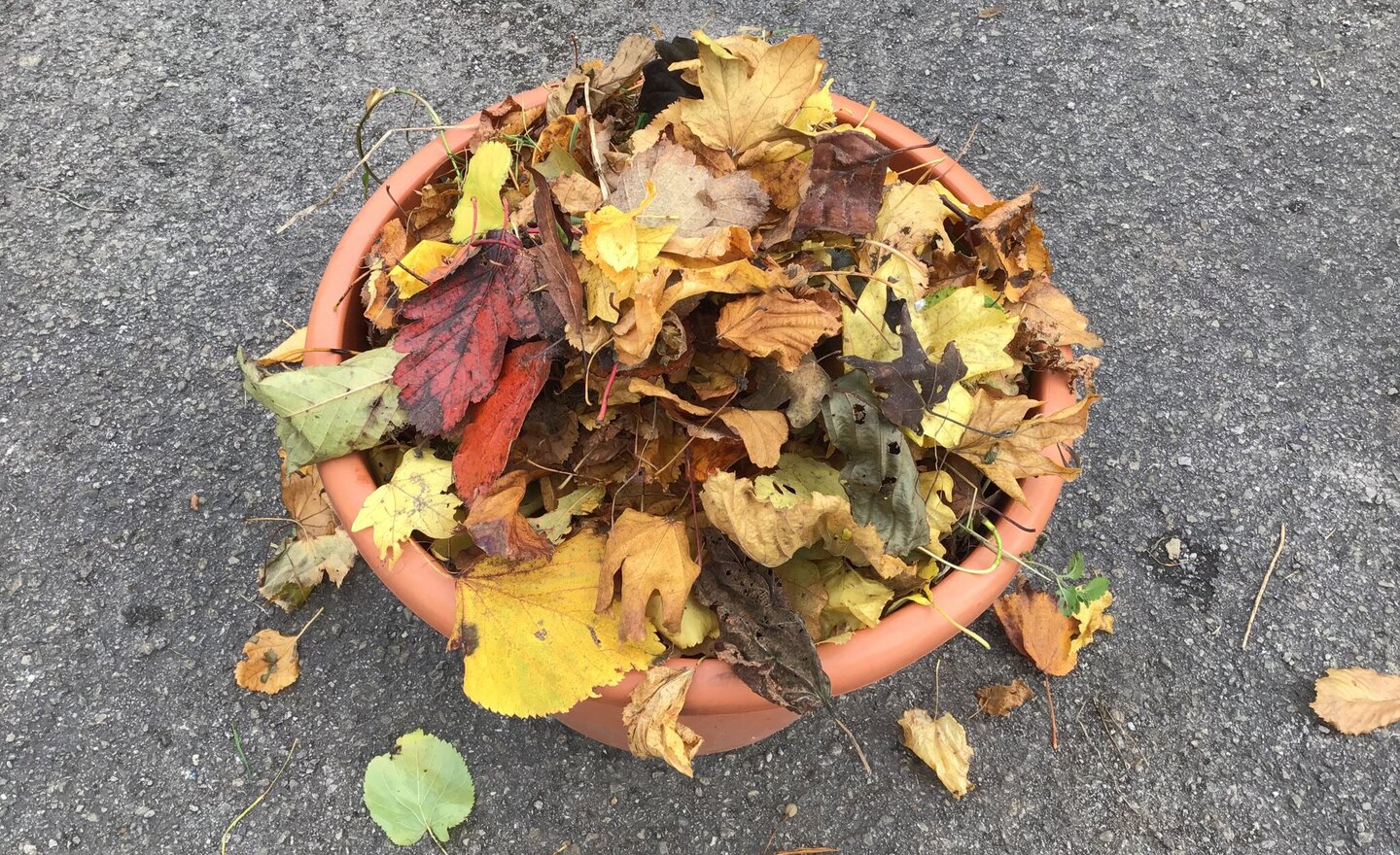 Image of Welly Wednesday - Exploring Capacity